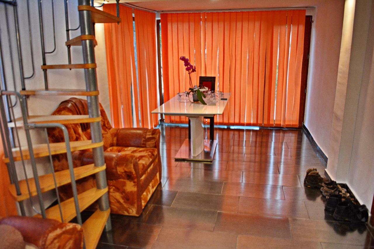 Pensiunea Salas Salasu de Sus Extérieur photo